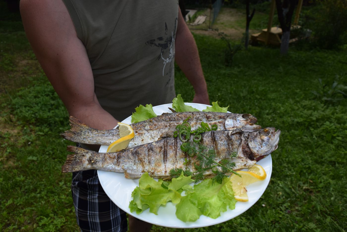 ловля форели в Карпатах