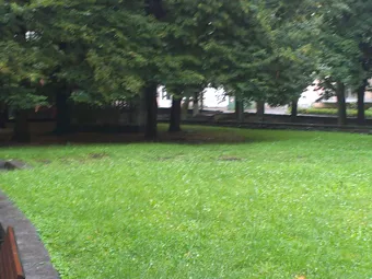 На місці скверу в самому центрі міста може з’явитись громадський туалет із офісними приміщеннями на даху (Фото) — фото 2