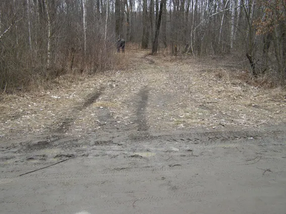 Правоохоронці затримали 3 підозрюваних у вбивстві лісника (відео) — фото 2