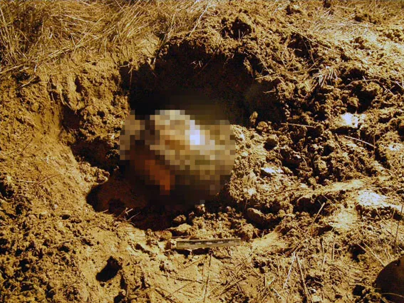Правоохоронці затримали 3 підозрюваних у вбивстві лісника (відео) — фото 3