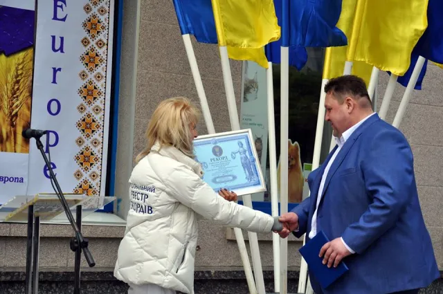 Найбільший прапор ЄС: встановлено рекорд в Житомирі — фото 2